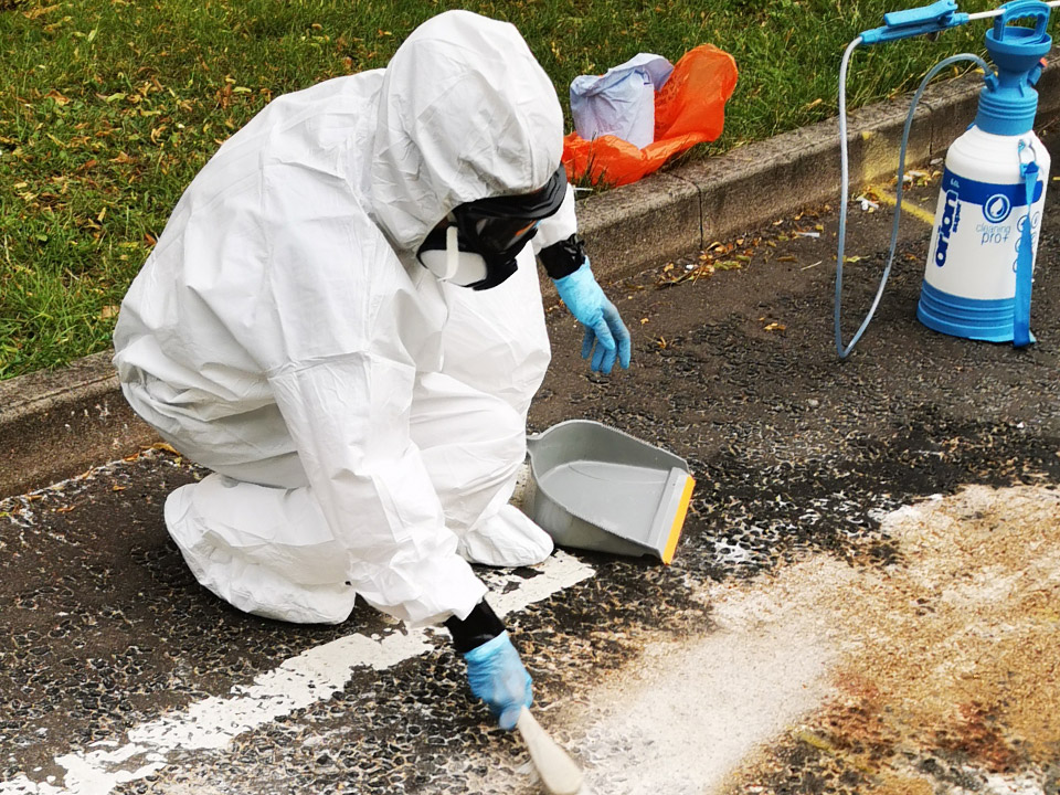 Road traffic accidents specialist cleaning